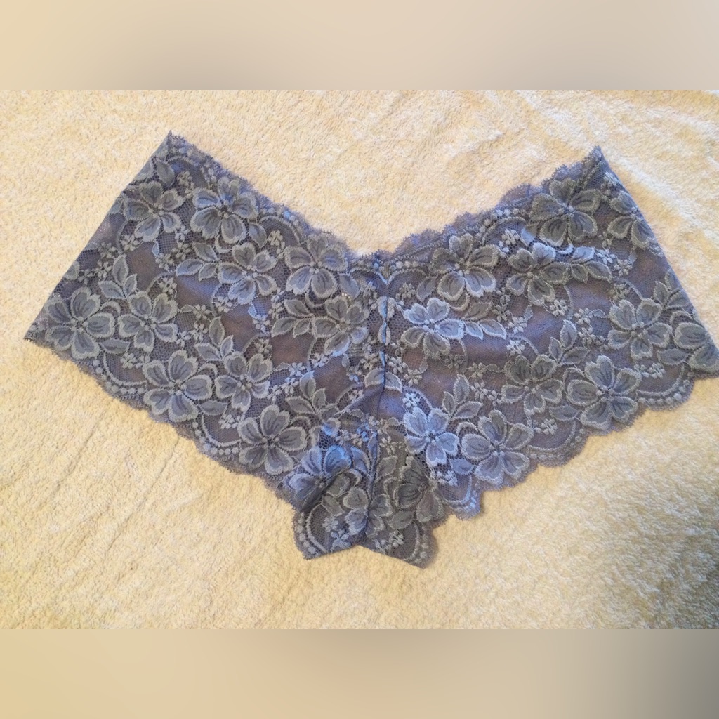 Maidenform Lilac Lace Panties (Medium)